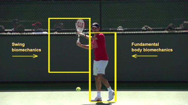 forehand stroke biomechanics